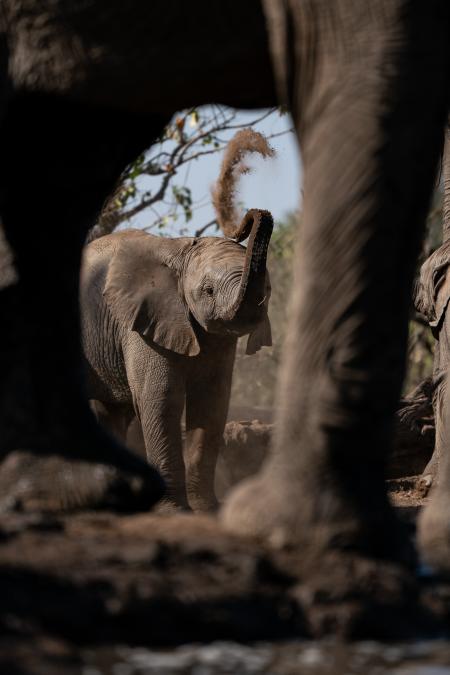 Richard De Gouveia A Wildlife Photographer from South Africa Sony